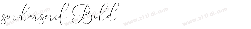 sonderserif Bold字体转换
